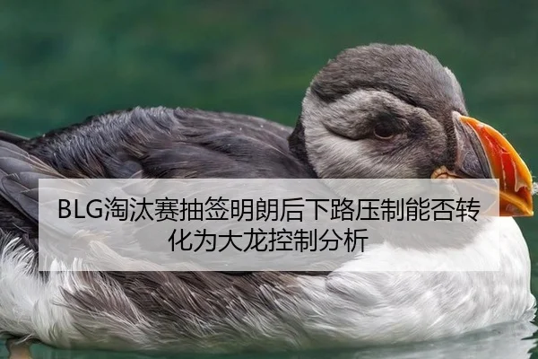 BLG淘汰赛抽签明朗后下路压制能否转化为大龙控制分析